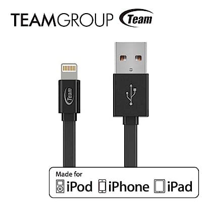Team十銓科技 Apple原廠認證充電/傳輸線 TWC08