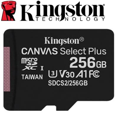 Kingston 金士頓 256G 100MB/s U3 microSDXC UHS-I A1 V30 記憶卡 SDCS2/256GB