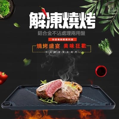 金德恩 台灣製造 解凍燒烤兩用盤 44.5x22.8cm