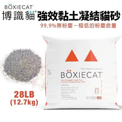 【2入組】BOXIECAT博識貓無粉塵黏土貓砂-紅色益生菌加強 28LB28LB/12.7kg(送寵物零食隨機*1包)