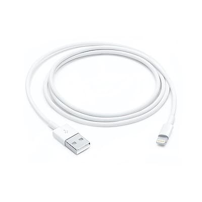 Apple 原廠 Lightning 對 USB 連接線 1 公尺 (MXLY2FE/A)