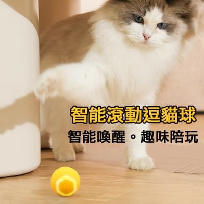 Ｍamy Pets 逗貓智能炫光自動滾動球。3色
