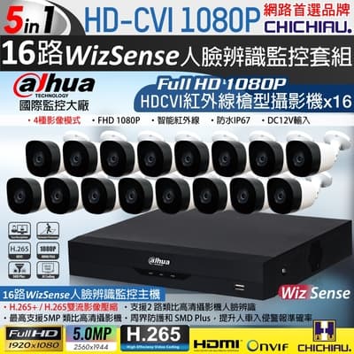 【CHICHIAU】Dahua大華 H.265 5MP 16路CVI 1080P數位遠端監控套組(含200萬紅外線槍機型攝影機x16)