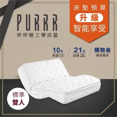 PURRR呼呼睡 | 電動床墊 乳膠獨立筒工學系列-標準雙人
