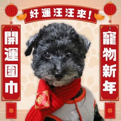 O Pretty 歐沛媞 Petsall寵物新年開運圍巾-多款可選40.5X5X3.5cm