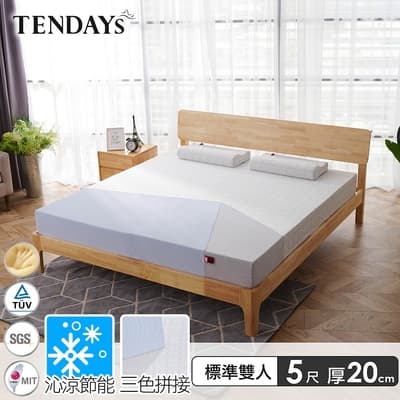 【TENDAYS】包浩斯紓壓床墊5尺標準雙人(20cm厚 記憶床)-買床送枕
