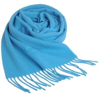 Aquascutum 高質感100%羊毛經典品牌字母LOGO刺繡圍巾(天藍色)